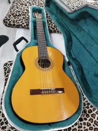 Antonarra Japana Akustikgitarre - Professor [July 8, 2025, 10:37 am]