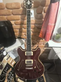 DAngelico Excel DC Tours Guitarra eléctrica - kellemetlenarpad [Today, 10:42 am]