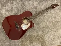 Ibanez LE300 Lonestar