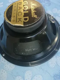 Marshall Gold back Hangszóró - Horváth Pál Gábor [Ma, 14:35]