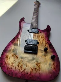 Schecter C6 PRO Schecter C6 PRO