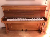 Alexander Pianino