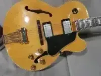 Ibanez Fg100 Ibanez Fg100