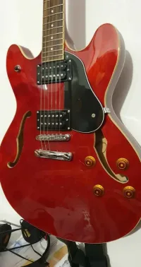 Washburn HB 30 Washburn HB 30
