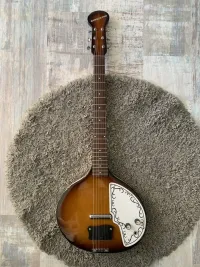 Danelectro Baby Sitar