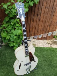 DAngelico Premier EXL-1