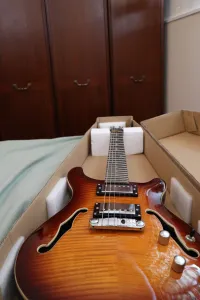 Harley Benton CST-24HB Tortoise Flame + Puha tok Harley Benton CST-24HB Tortoise Flame + Puha tok