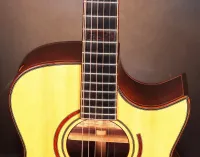 MAESTRO Victoria-MR Guitarra acústica - Maestro80 [Yesterday, 7:55 pm]