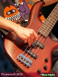 Cort Action Basgitara - DraVIDA [Today, 4:17 pm]