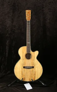 Cort SFX6SP NAT
