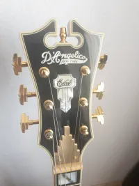 DAngelico Excel SS