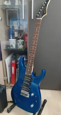 Delson  Set de guitarra eléctrica - wolfbeisz zoltán [Today, 4:37 pm]