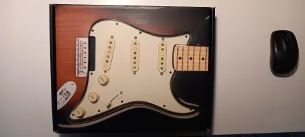 Fender Pre-Wired Pickguard Texas Special Pickup set - Blues Man [Yesterday, 11:38 pm]