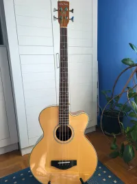 Harley Benton B30NT