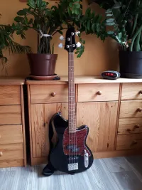 Ibanez TMB100