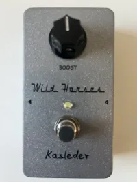Kasleder Wild Horses Booster - Christiansen [August 6, 2025, 9:10 am]