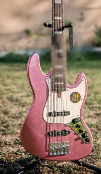 Sire V7 alder 5 gen2 5-Saiter Bass-Gitarre - SteveHarris [Yesterday, 10:45 am]