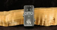 TC Electronic Ditto Looper