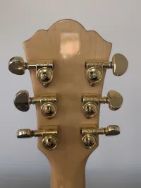 Washburn HB35
