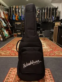 Washburn Merev vázas