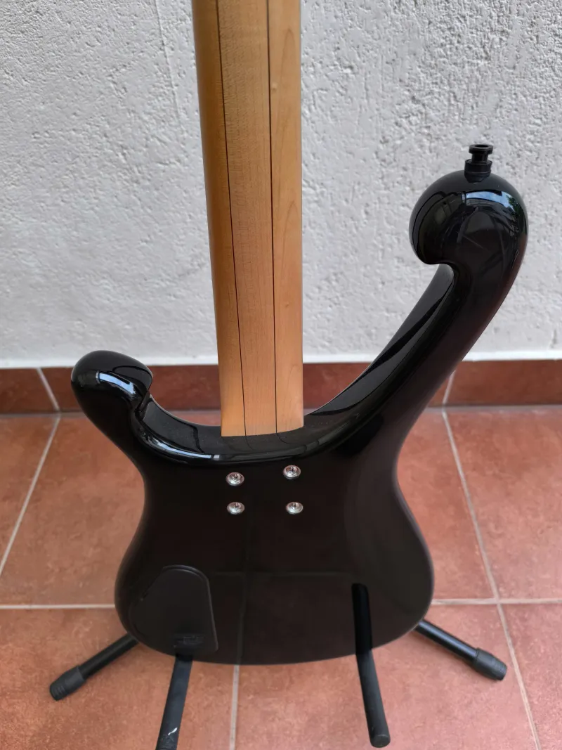Warwick Stuart Zender Artist Series Bass Gitarre