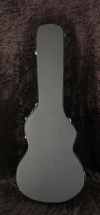 PRS SE Hollowbody Estuche rígido - Vintage52 Hangszerbolt és szerviz [Yesterday, 11:47 pm]