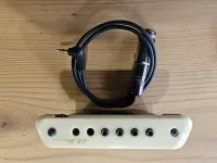 LR Baggs M1 LR Baggs M1