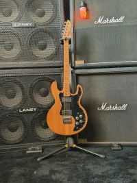 Peavey T60 Electric guitar - xBx [Today, 9:10 pm]