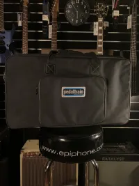 Pedaltrain PT 2-SC 24 Pedaltrain PT 2-SC 24