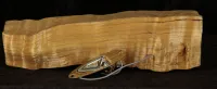 Squier Strat jack aljzat Dielce - Vintage52 Hangszerbolt és szerviz [Yesterday, 9:29 pm]