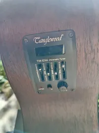 Tanglewood TWCR O E