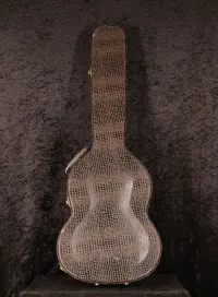 Thomann Les Paul Kígyóbőr Thomann Les Paul Kígyóbőr