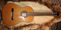 ARIA AC-25