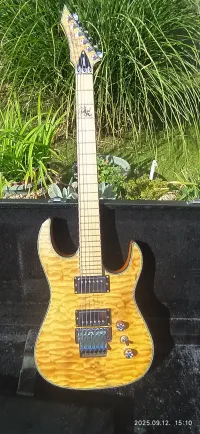 B.C. Rich Zoltan Bathory siganture Assassin Guitarra eléctrica - Renata Nova [Today, 4:13 pm]