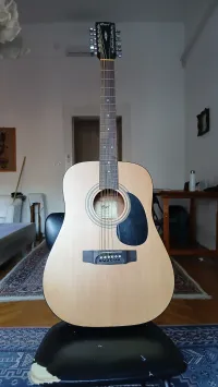 Cort AD810-12 OP 12-saitige Akustikgitarre - Széll Gábor [Today, 5:50 pm]