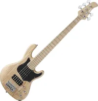 Cort Gb 75 Bass guitar 5 strings [September 7, 2025, 8:13 pm]