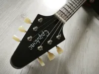 Epiphone Flying V Epiphone Flying V