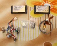 Epiphone ProBucker Gold komplett Pickup set - Max Forty [Today, 8:47 pm]
