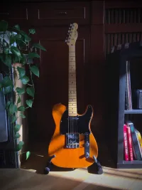 Fender American Professional II Telecaster Roasted Pine Fender American Professional II Telecaster Roasted Pine