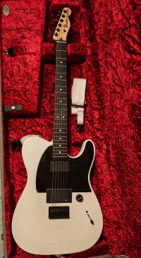Fender Telecaster Jim Root Signature Fender Telecaster Jim Root Signature