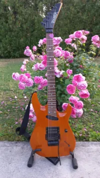 Hamer Californian Electric guitar - tip.top [Today, 10:29 am]