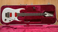 Ibanez RGD2127Z Elektrická gitara 7 strún - Daniel [Today, 7:42 pm]