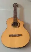 Line6 Acoustic 300 Nylon Line6 Acoustic 300 Nylon