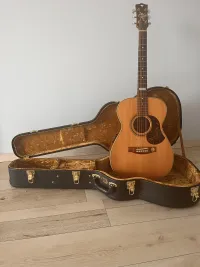 Maton EBG 808 TE Maton EBG 808 TE