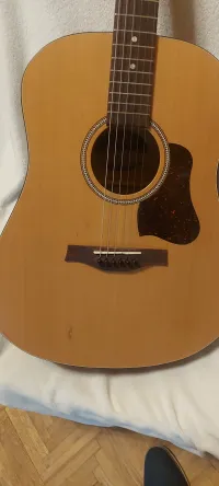 Seagull Slim 6