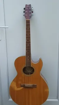 Washburn EA-10 Guitarra electroacústica -  [Today, 12:29 pm]