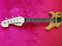 Washburn N2 Washburn N2