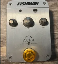 Fishman AURA DREADNOUGHT - acoustic imaging