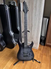 Harley Benton Amarok Bariton Electric guitar - Wakk Zylde [Today, 6:16 pm]