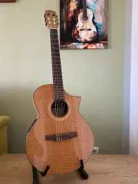 Ibanez EWN30SYENT120